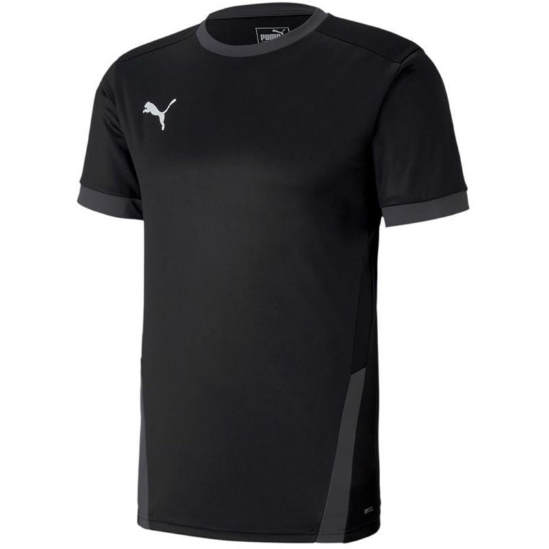 Puma teamGOAL 23 Jersey férfi Póló 70417103