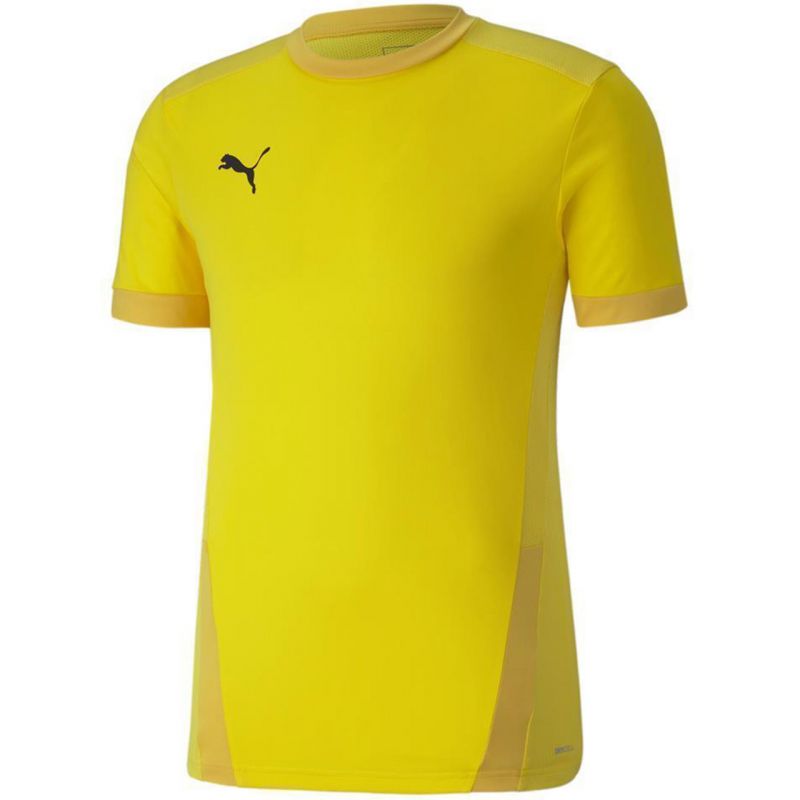 Puma teamGOAL 23 Jersey férfi Póló 70417107