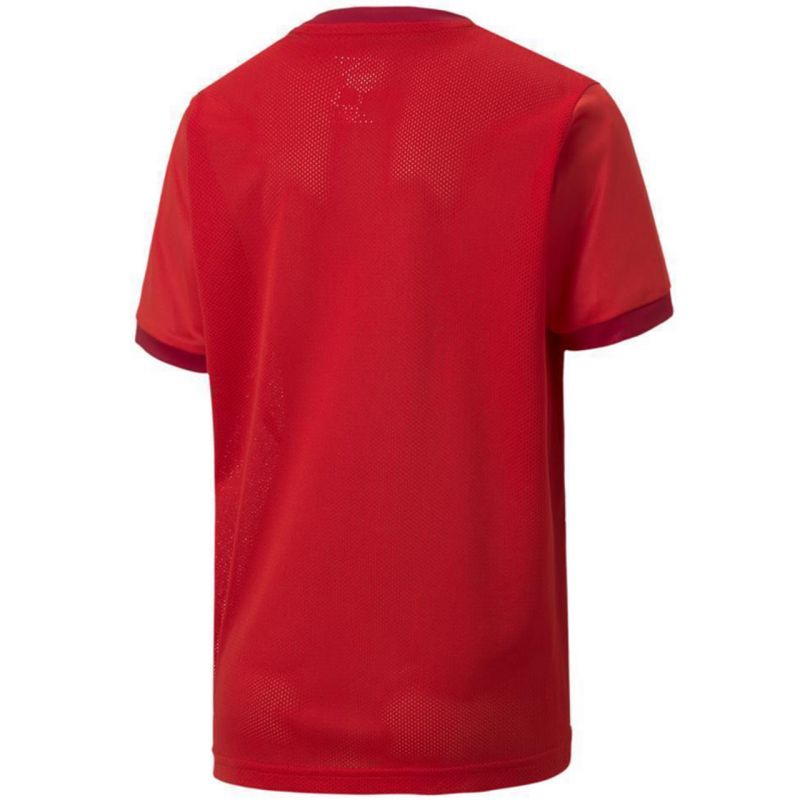 Puma teamGOAL 23 Jersey Jr T-shirt 704160 01 Póló - Sportmania.hu