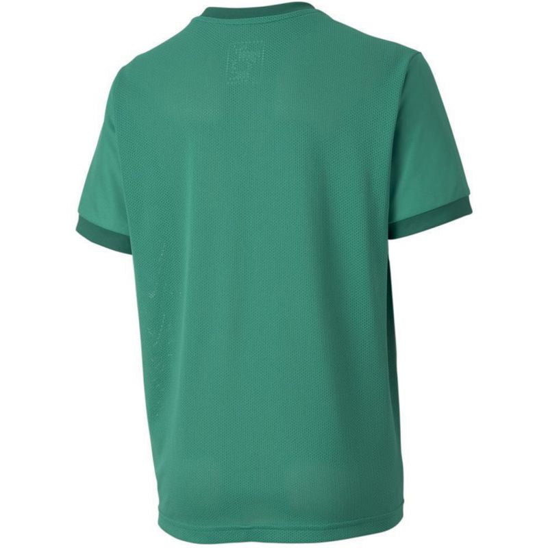 Puma teamGOAL 23 Jersey Jr T-shirt 704160 05 Póló - Sportmania.hu