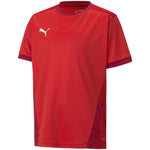 Puma teamGOAL 23 Jersey Jr T-shirt Póló gyerek 70416001