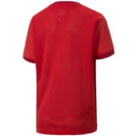 Puma teamGOAL 23 Jersey Jr T-shirt Póló gyerek 70416001