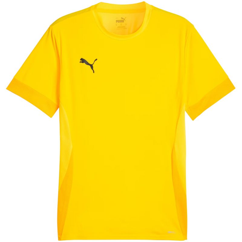 Puma teamGoal Matchday Jersey férfi póló 70574707