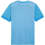 Puma teamGoal Matchday Jersey férfi póló 70574718