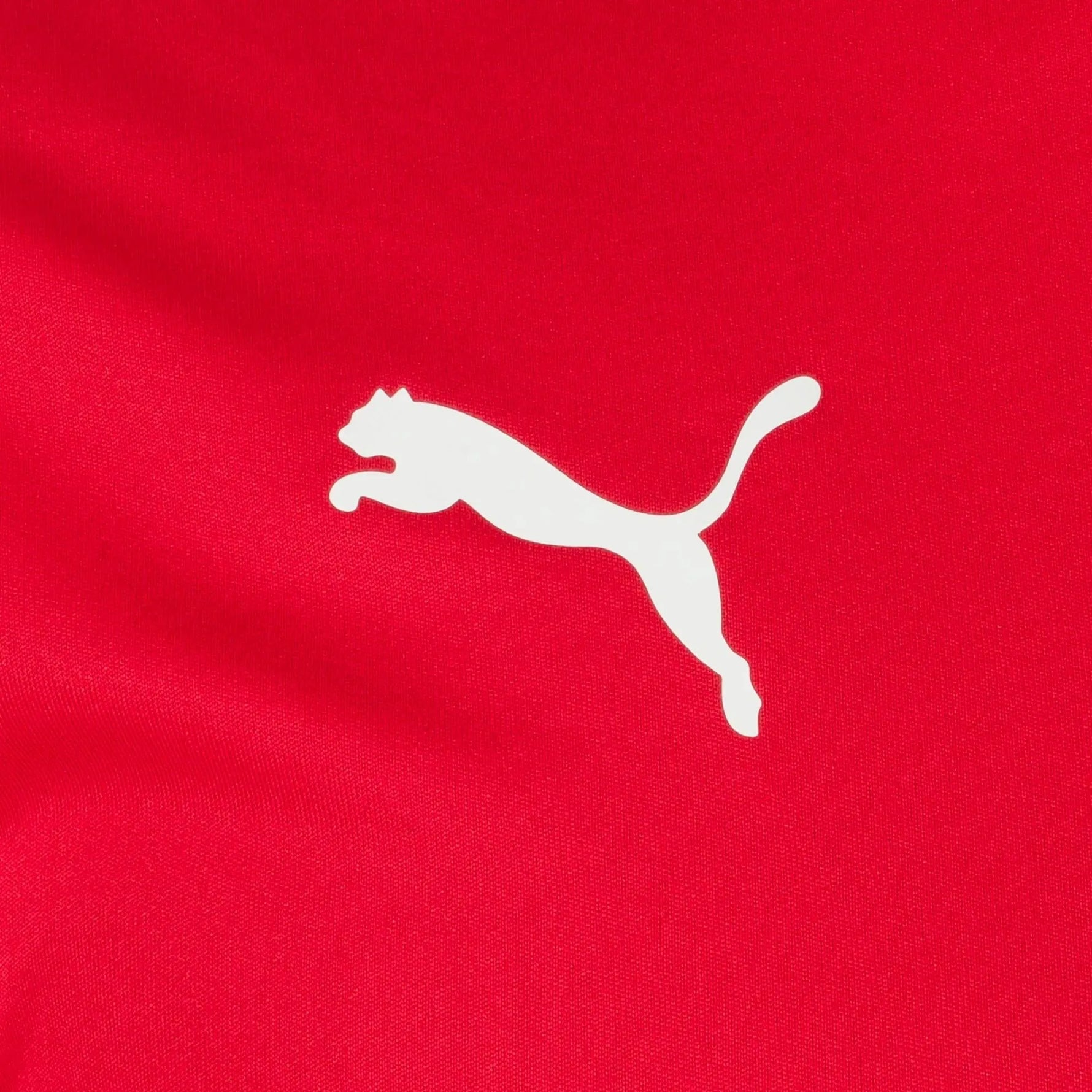 Puma teamLIGA Jersey Póló - Sportmania.hu