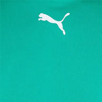 Puma Teamrise Jersey Póló - Sportmania.hu