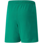 Puma teamRISE Short Jr 704943 05 Short - Sportmania.hu