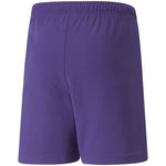 Puma teamRise Short Jr 704943 10 Short - Sportmania.hu