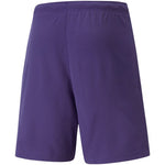 Puma teamRise Short Prist M férfi rövidnadrág 70494210