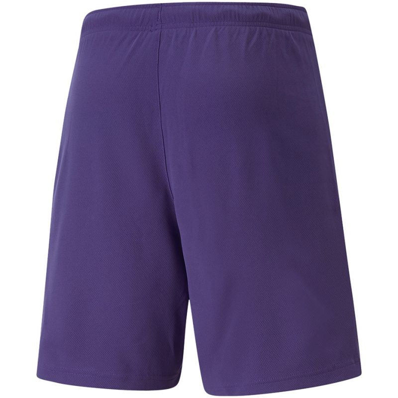 Puma teamRise Short Prist M férfi rövidnadrág 70494210
