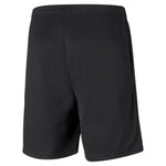 Puma teamRISE shorts M férfi rövidnadrág 65733603