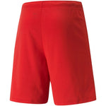 Puma teamRISE Shorts M férfi rövidnadrág 70494201