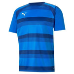 Puma teamVISION Jersey Póló - Sportmania.hu