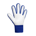 Reusch Attrakt Starter Solid Junior goalkeeper gloves 5672514 kék kapuskesztyű, gyerek