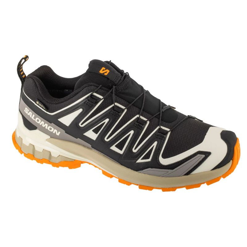 Salomon XA Pro 3D v9 GTX Black L47881900