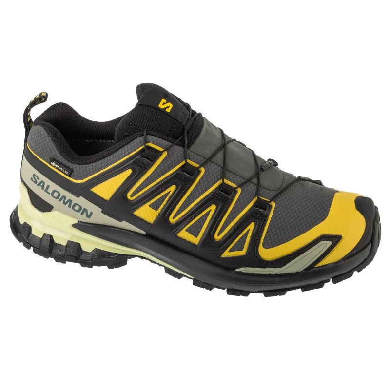 Salomon XA Pro 3D v9 GTX Gray L47980400
