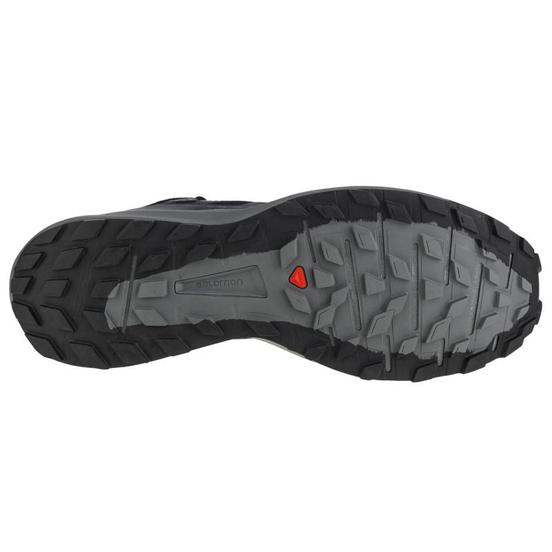 Shoes Salomon Sense Ride 4 Gtx M 413071