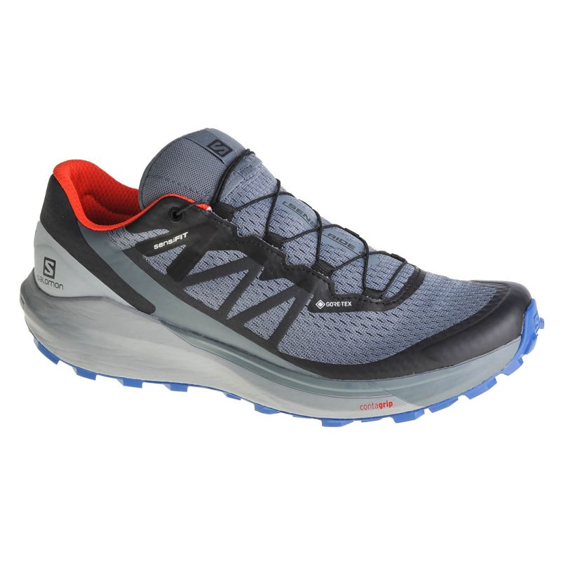 Shoes Salomon Sense Ride 4 Gtx M 413778