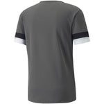 T-shirt Puma teamRISE Smoked M 704932 13 - Sportmania.hu
