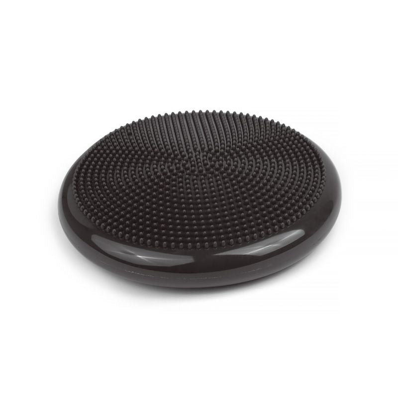Tiguar disc (air disc) - graphite grafit TI-AD0013