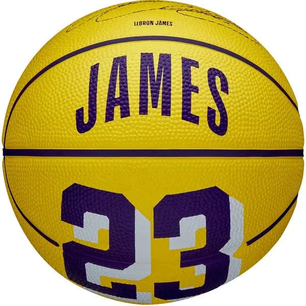 Wilson NBA Lebron James 23 Icon mini Labda WZ4027701XB