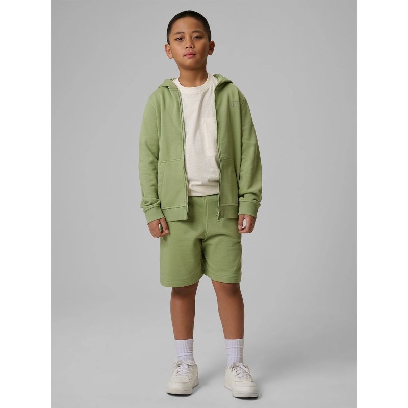 Boy's regular hooded sweatshirt 4F 4FJRSS26TSWSM2749-47S sweatshirts