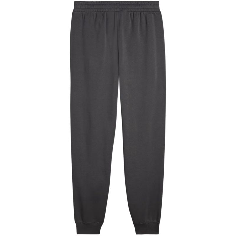 Puma ESS 2 Color No. 1 Logo Pants M 684713 44 Nadrág