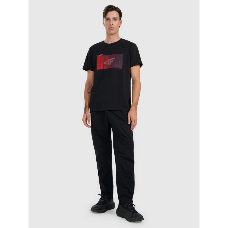 Men's regular printed T-shirt 4F 4FRAW25TTSHM3224-20S póló