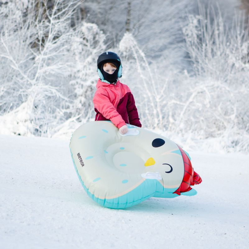 Meteor Owl Snow Slide