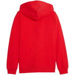 Puma teamGoal Casuals Hooded kids' sweatshirt red 658596 01 General