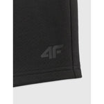 Men's sweatpants 4F