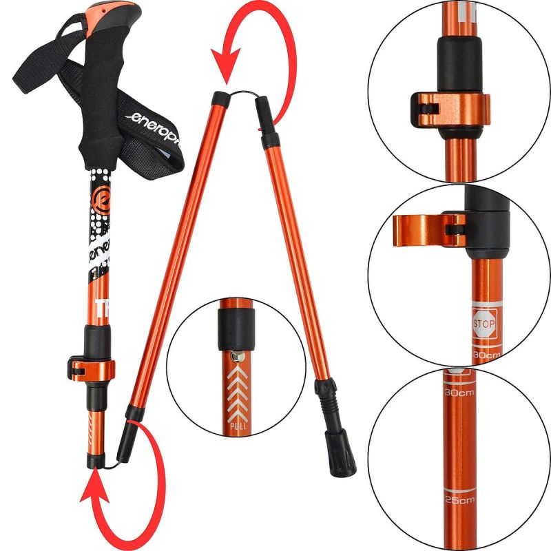 Enero Nordic Walking Trip Poles In Pro Case sticks
