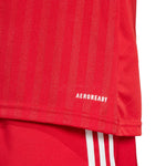 adidas Campeon 25 Jersey M JF6058 Póló