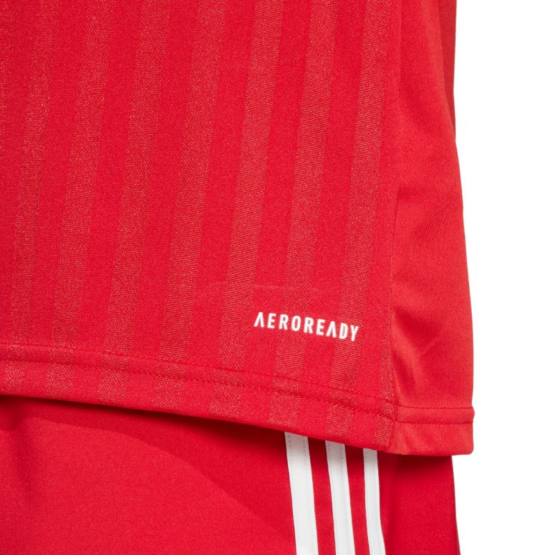 adidas Campeon 25 Jersey M JF6058 Póló