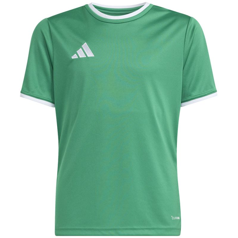 adidas Entrada 26 Jersey green JZ2528 kids' t-shirt zöld futball mez