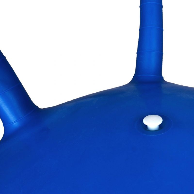 PROfit DK 2103 Jumping Ball 55 cm Blue Labda