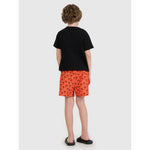 Boys' boardshorts 4F 4FJRSS25UBDSM183-70S 158/164 short