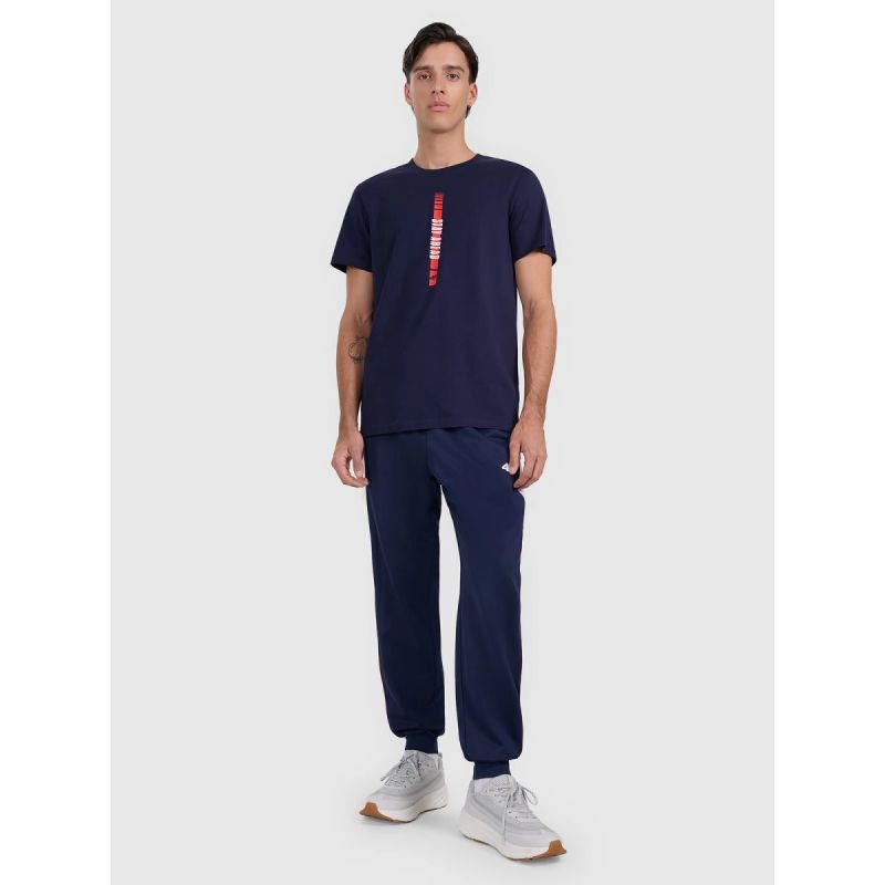 4f Men's regular printed T-shirt 4FRAW25TTSHM3225-31S Ruházat