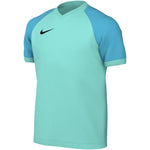 Nike Dri-FIT Trophy VI Kids' T-Shirt menta póló HV8158354