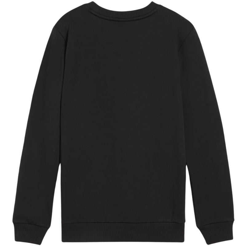 Puma Team Goal Casuals Crew Neck Sweat Jr 658593 03 pulóver