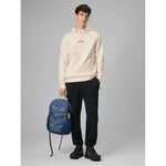 4F Men's regular hooded sweatshirt pulóver 4FRSS26TSWSM2894-12S