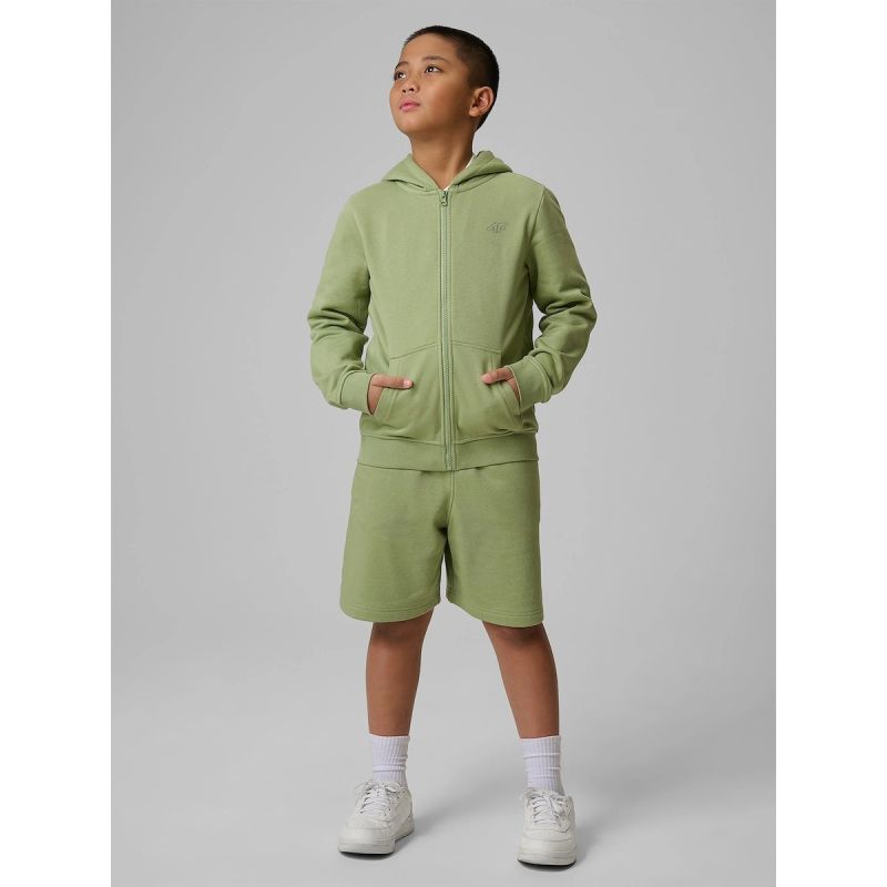 Boy's regular hooded sweatshirt 4F 4FJRSS26TSWSM2749-47S sweatshirts