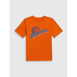 4F Boy's regular printed T-shirt ruházat 4FJRSS26TTSHM4278-70S