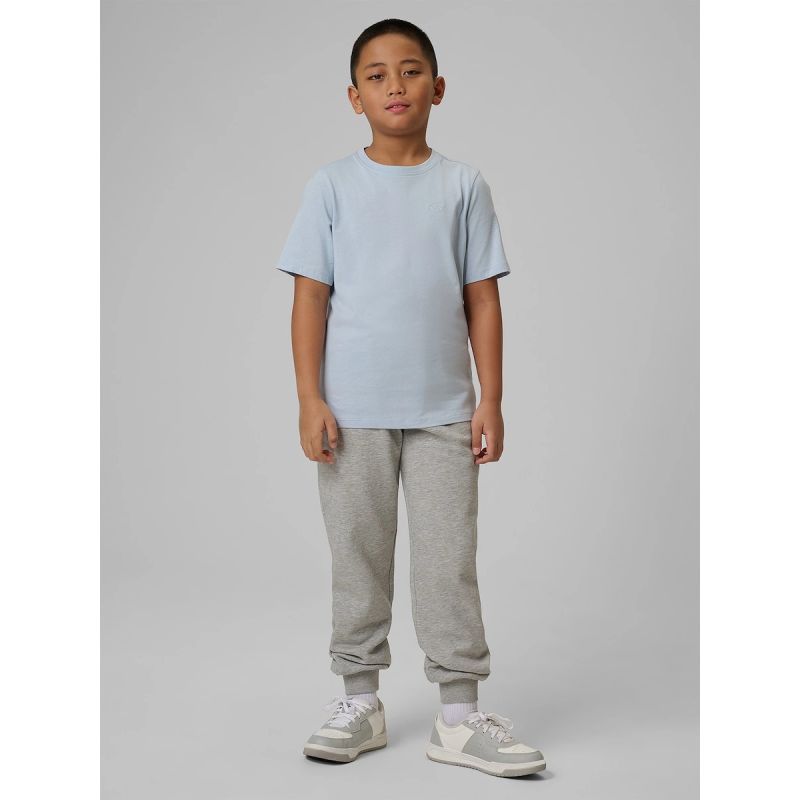 Boys' jogger sweatpants 4F 4FJRMM00TTROM1823-25M nadrág