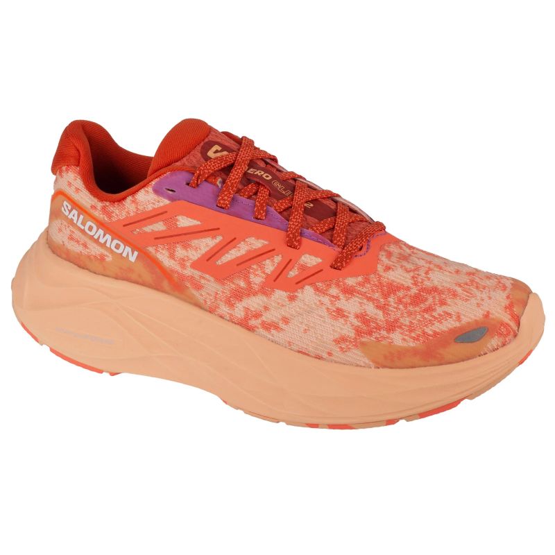 Salomon Aero Glide 2 W Running Shoes 474266