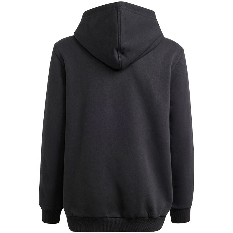 Adidas Allszn GFX HD Jr sweatshirt IS4661 Pulóver