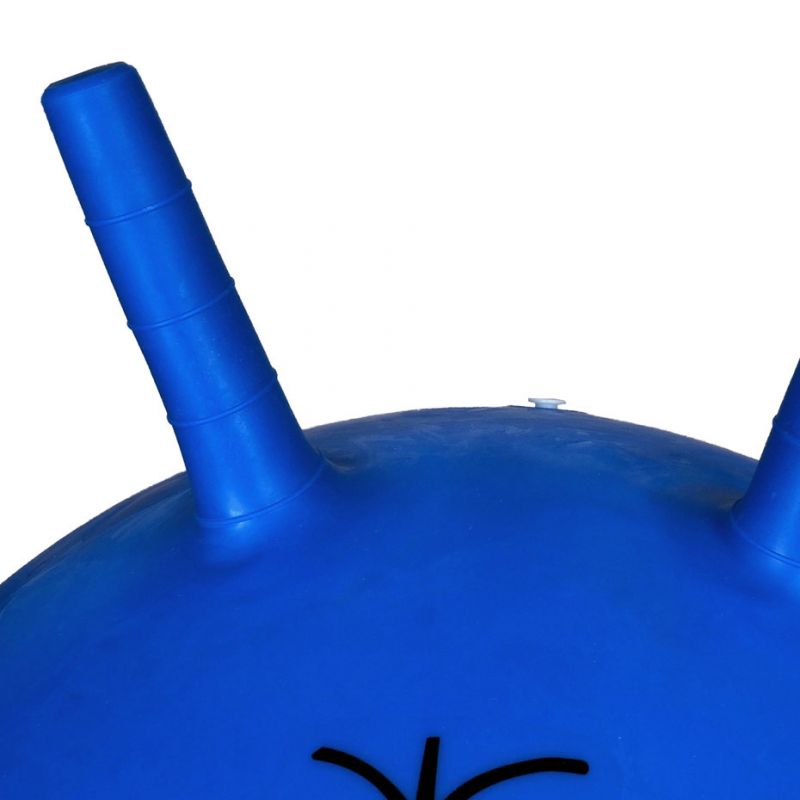 PROfit DK 2103 Jumping Ball 55 cm Blue Labda