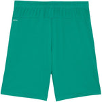 Puma teamGOAL Shorts