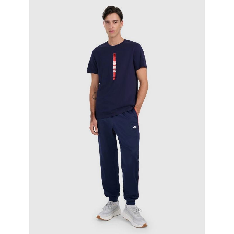 4f Men's regular printed T-shirt 4FRAW25TTSHM3225-31S Ruházat