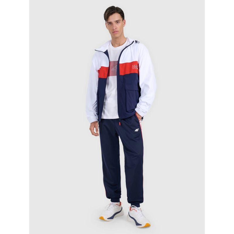 Men's regular printed T-shirt 4F 4FRAW25TTSHM3224-10S póló